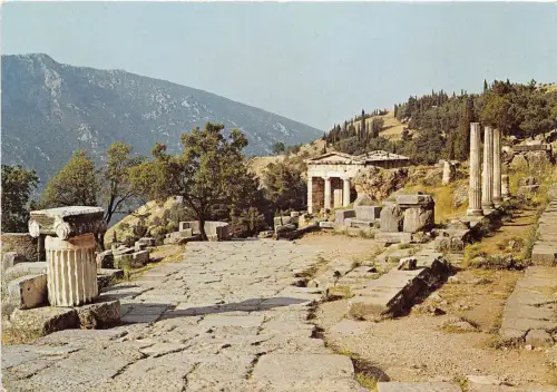 B84109 delphes vue de la voie sacree devant le tresor greece