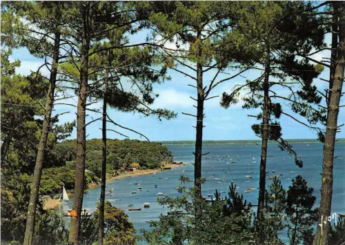 BR14560 Bassin de Arcachon la Pointe aux Chevanx france