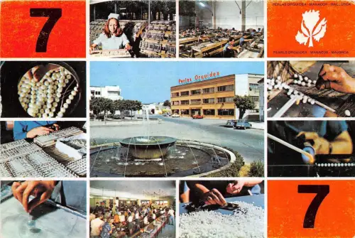 B51982 Mallorca Manacor Perlas Orquidea Spanien