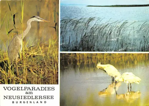 BG27223 Vogelvogelparadies am Neusiedlersee Burland Österreich