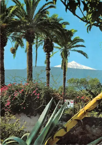 B33346 Teide Teneriffa Vulkan Teide aus Puerto de la Cruz Spanien