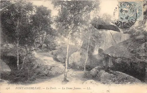 B5783 Fountainbleau La Foret La Dame Jeanne