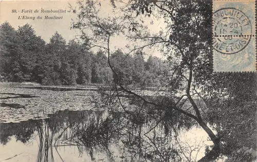 B5786 Foret de Rambouillet L`Etang du Moulinet