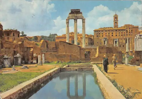 BR12602 Roma Foro Romano Italien