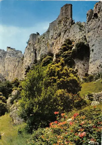 B50220 Chateau de Peyrepertuse Frankreich