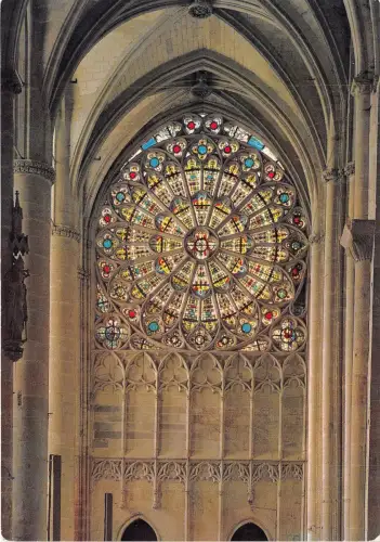 B53250 Carcassonne La Cathedrale La Rosace Sud Frankreich