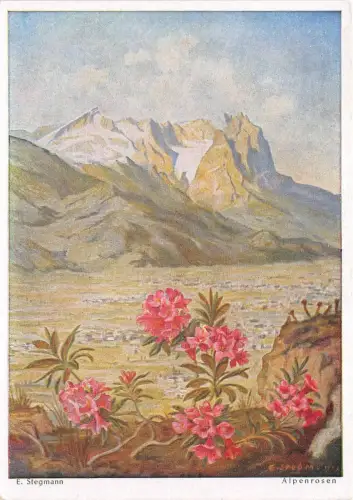 B62649 Kunst Reproduktion Erich Stegmann Alpenrosen bei Garmisch Partenkirchen