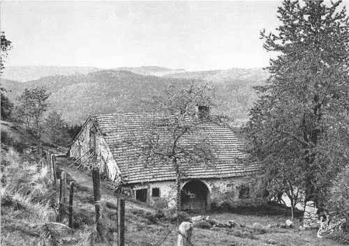 B50537 Les Vosges La Vieille Maison france