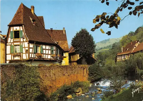 B53063 Kaysersberg maisons anciennes au bord de la Weiss france