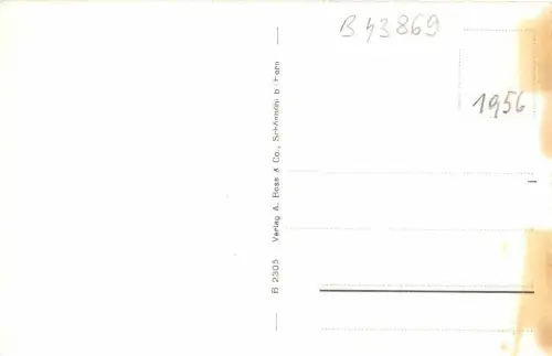 B43869 unsere Bärentiere