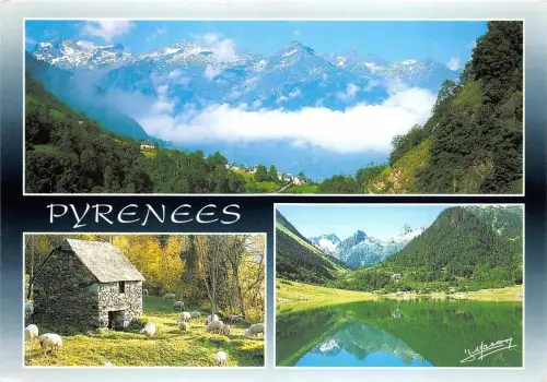 B52746 Images des Pyrenees moutons multi vues france