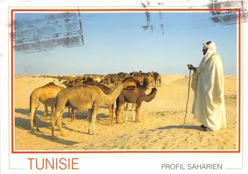 B8968 Tunisie Cammels