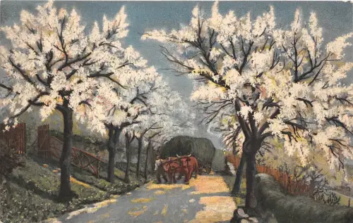 B4375 Nice Landscape Bulls at Work front/back scan