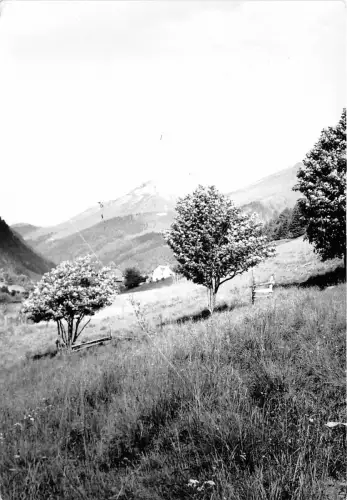 B47129 Wieser Brettsteingraben Landschaft Deutschland