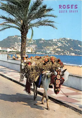 BG6421 Rosen Costa Brava Eselsorten Spanien