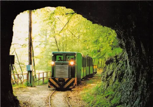 BC59461 Zug Palhazi Erdei Vasut chemin a fer Eisenbahn