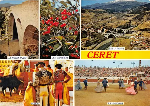 BR15977 Ceret Frankreich