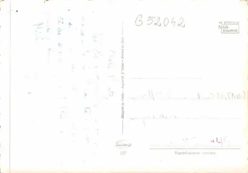 B52042 Fleurs Blumen Rosen