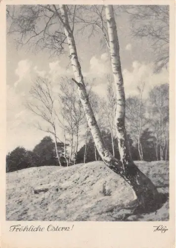 B35159 ostern ostern germany