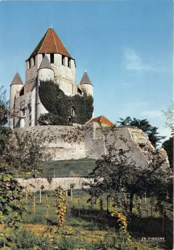 BR13638 la tour cesar provins france