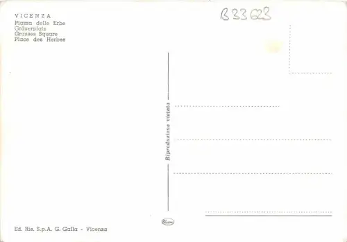 B33623 Vicenza Gräser Platz Italien