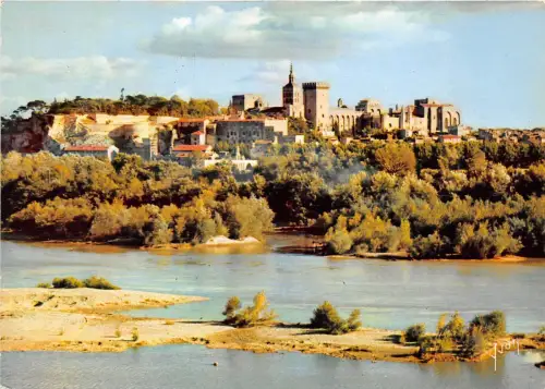 BR13992 Avignon Le Chateau des papes france