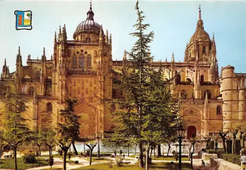 BT17629 salamanca catedral nueva spain