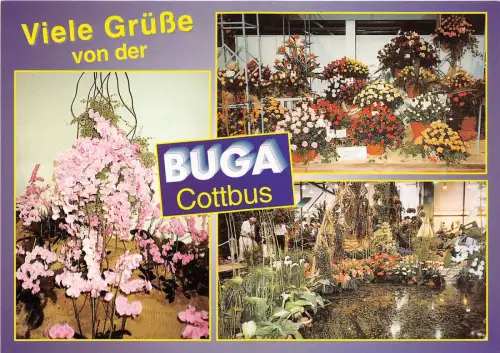 BG12713 viele grusse von der buga cottbus germany