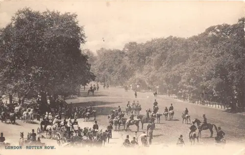 B85236 rotten row hyde park horse london uk