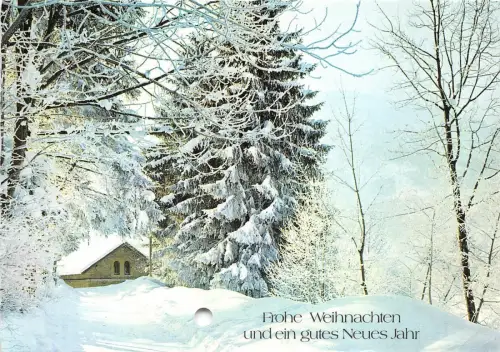 B53976 Winterlandschaft Baumlaube