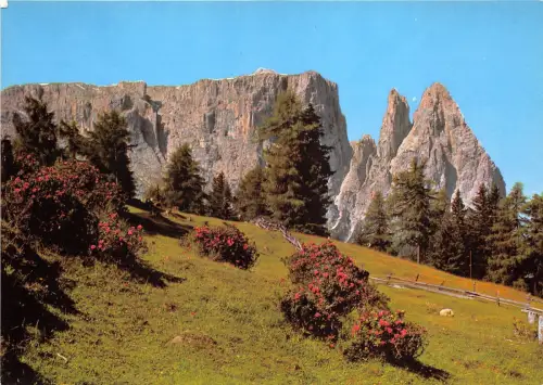 BG17588 alpe di siusi verso lo sciliar seiser alm dolomiti italy