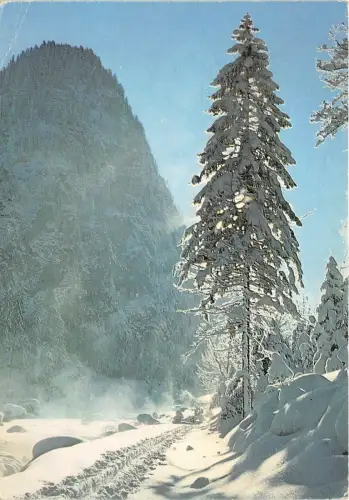 B68525 Österreich Im Wimbachtal Berchtesgden