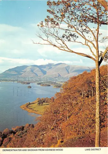 BT18419 Derwentwater and Skiddaw from Ashness Wood Lake District UK