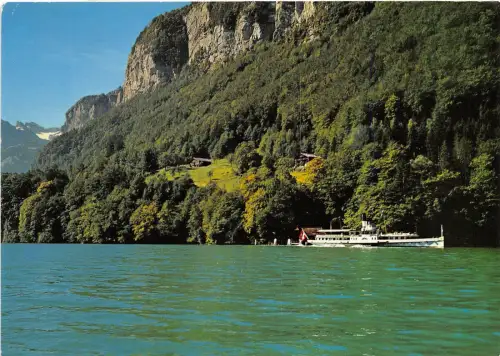 B68206 Rutli am Vierwaldstattersee Schweiz