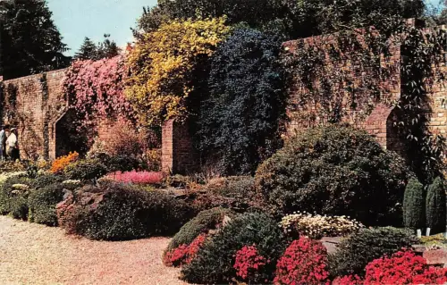 BR66539 the savill garden windsor great park uk 14x9cm