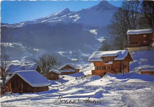 B52878 winterlandschaft paysage d'hiver bonne annee neujahr frankreich