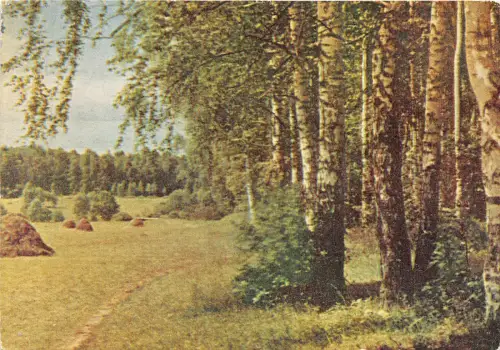 B56625 Podmoskovie Russland