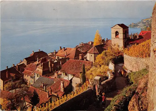 BR12789 Le lavaux Saint saphorin france