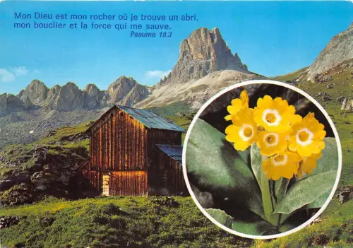 B50751 Fleures Flowers