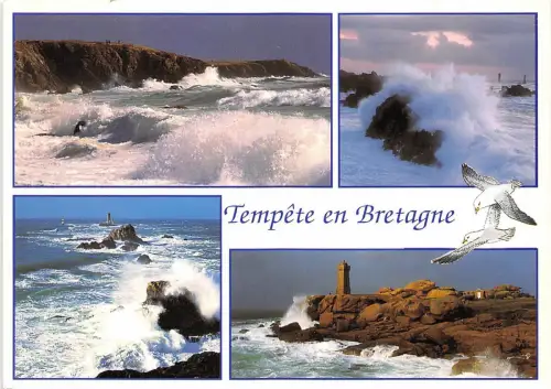 B50919 Bretagne Multiviews Frankreich