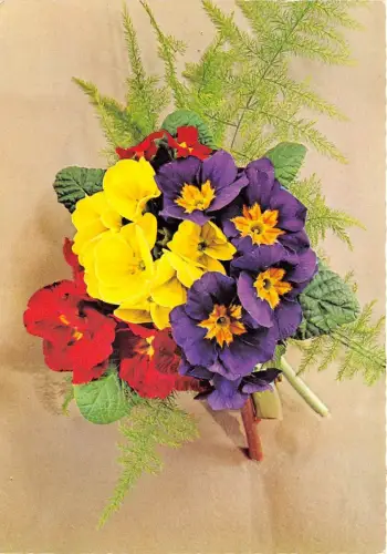 B52046 Fleurs Flowers