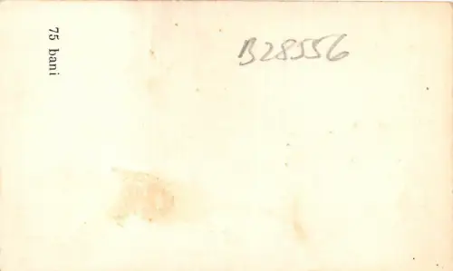 B28556 Tier Katze Chat 8x5cm