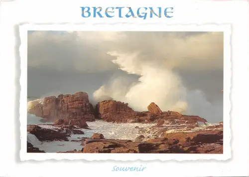 B49528 Bretagne Meerseite Frankreich