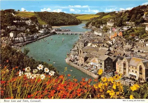 B88789 river looe and town cornwall uk