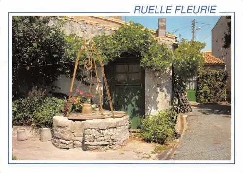 B49666 ruelle fleurie Cote atlantique francaise france