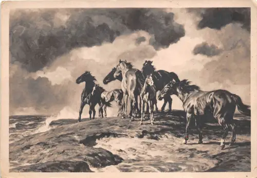 BF38945 München Gemälde Alfred Rolloff Pferd Kunst Postkarte