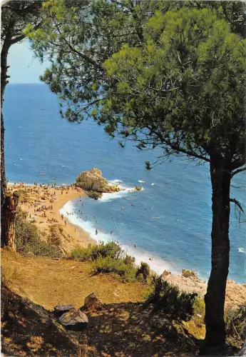 B67125 Spanien Calella Playa Roca Grossa