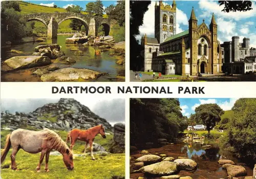 BT18292 dartmoor national park horse chevaux uk