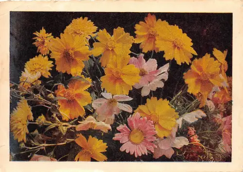 B44117 Fleurs Blumen Kunst Reproduktion Postkarte Gemälde