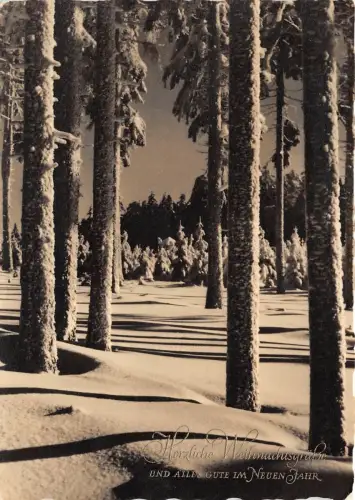 B36038 Winterlandschaft Deutschland germany